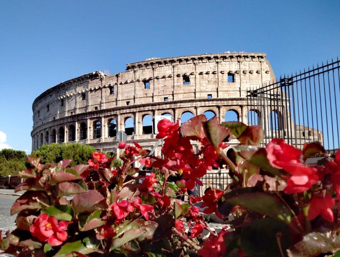 Casa S. Giuseppe Di Cluny Bed and breakfast *